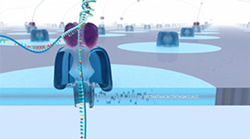 Oxford Nanopore technology schematic