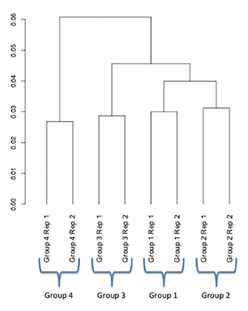 dendrogram.rna.png