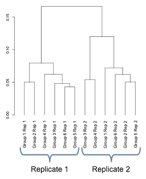 dendrogram.png